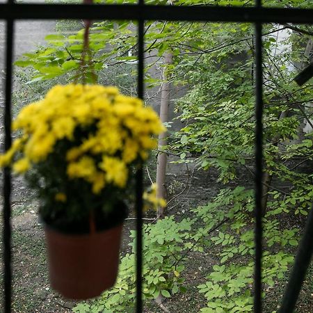 Natalie'S Place 베오그라드 외부 사진